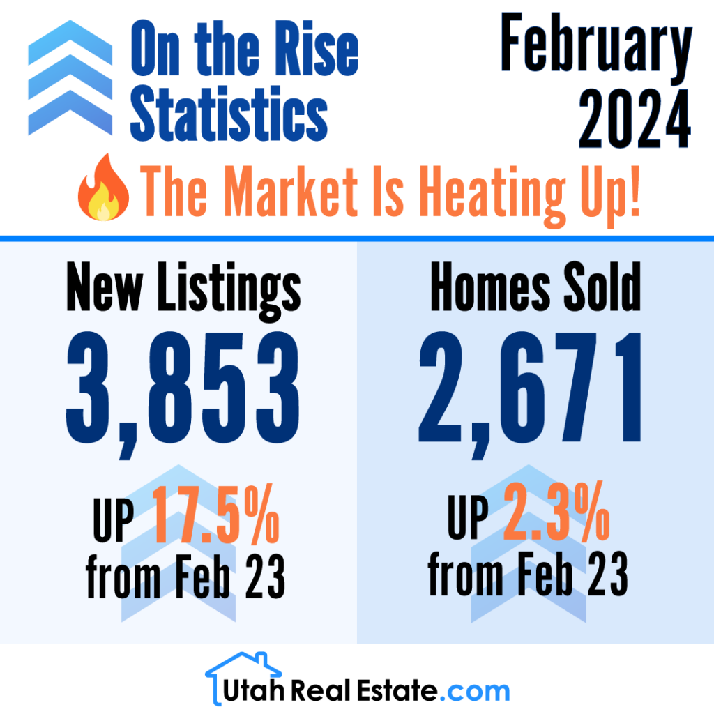 On The Rise Statistics - February 2024